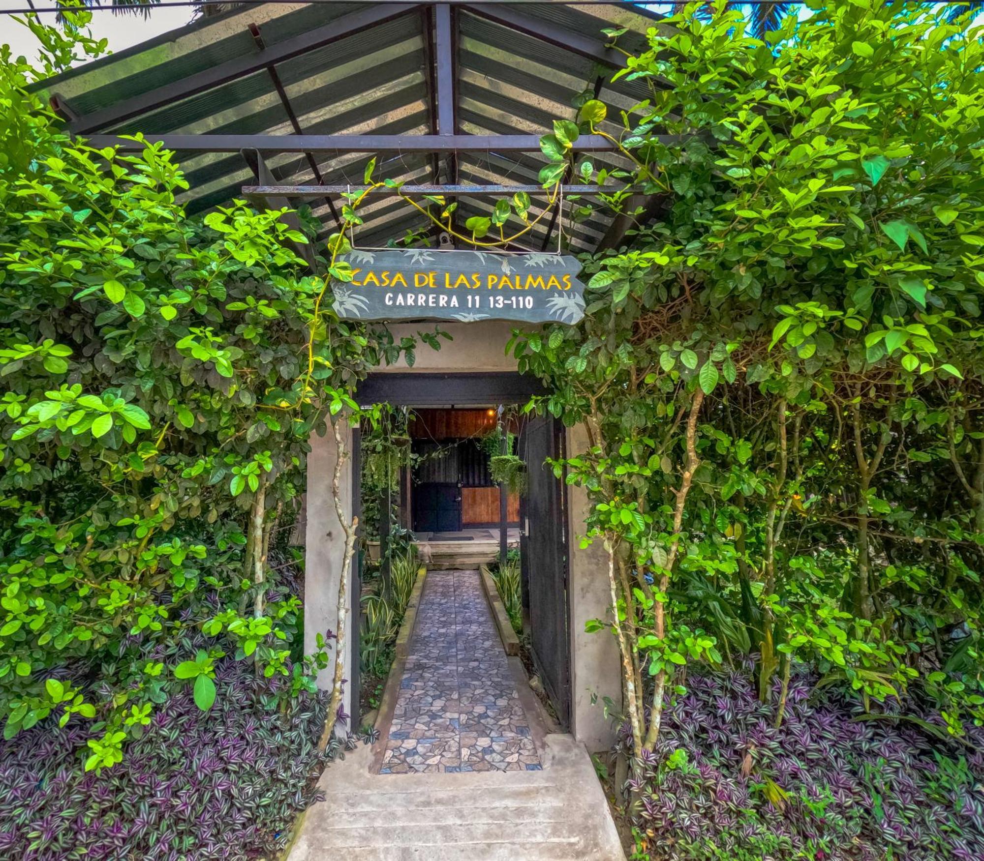 Hostel Casa De Las Palmas Tours Leticia Dış mekan fotoğraf